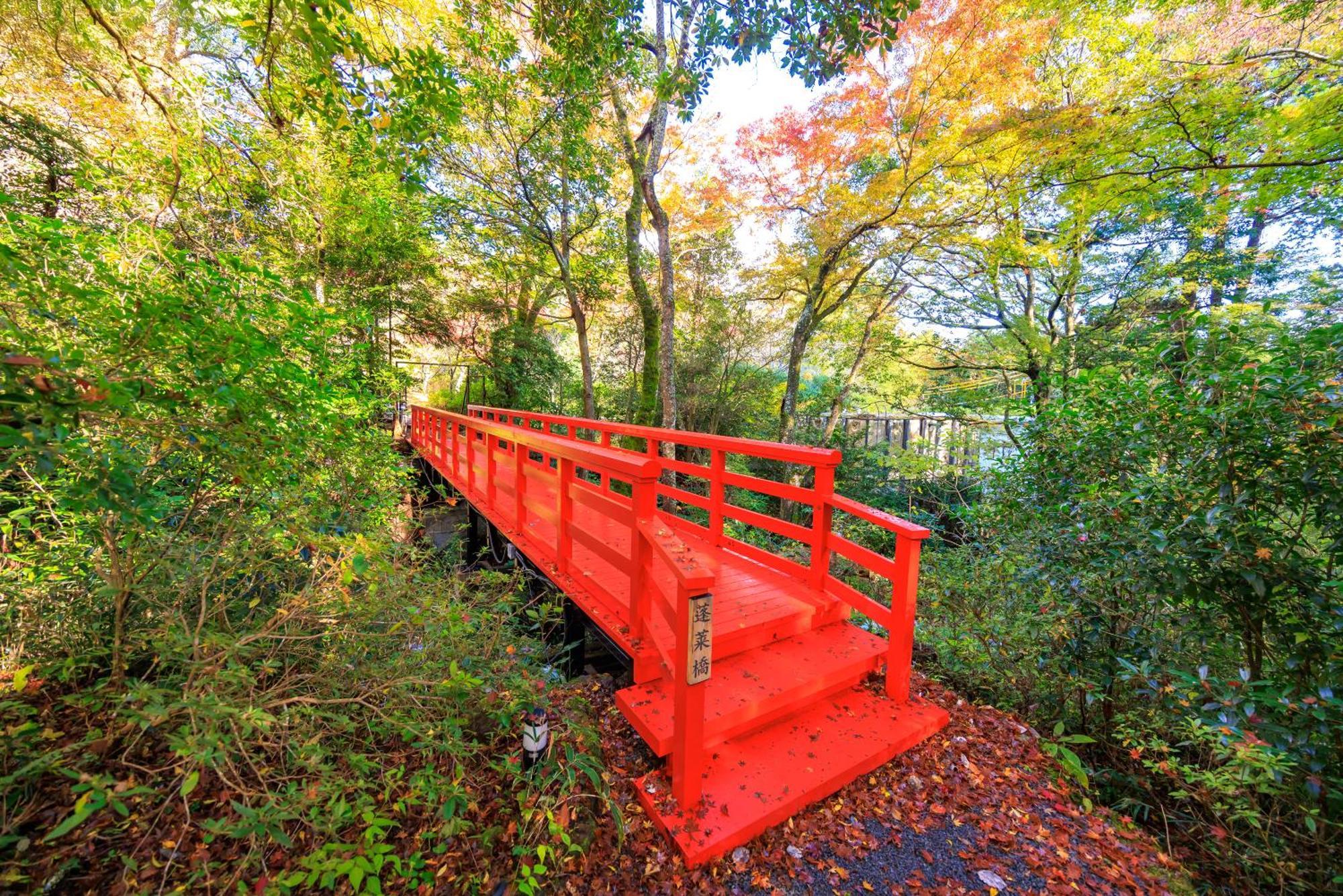 Hakone Kowakien Hotel Экстерьер фото