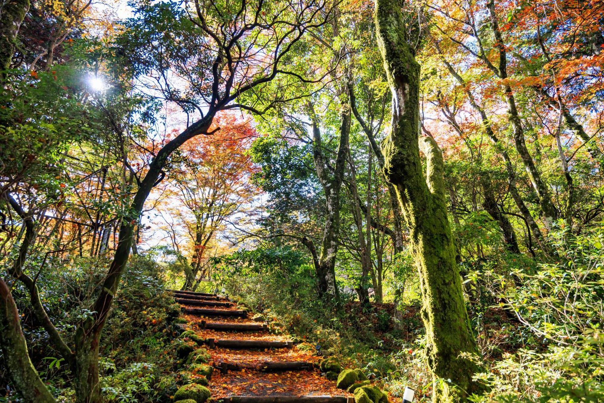 Hakone Kowakien Hotel Экстерьер фото